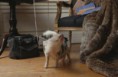 /album/fenykepgaleria/schermafbeelding-2012-06-27-om-23-49-02-1-jpg/